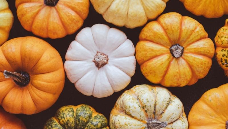 Dovlecii rămași după Halloween, un motiv de îngrijorare. La ce ar putea fi folosiți