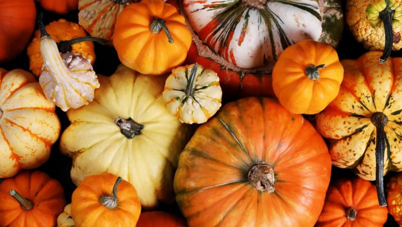 Dovlecii rămași după Halloween, un motiv de îngrijorare. La ce ar putea fi folosiți