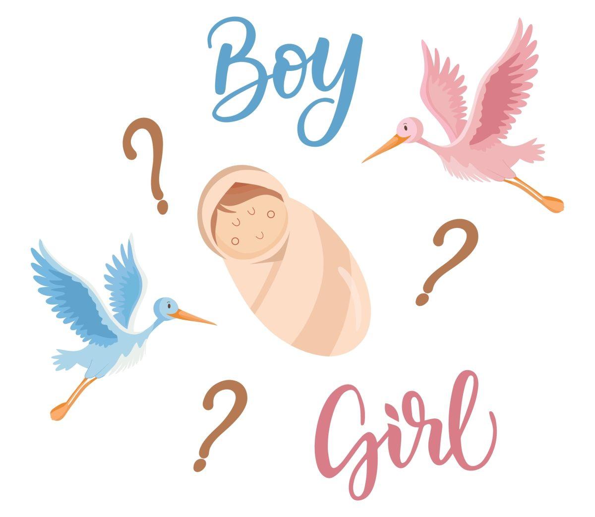 Cum și c&acirc;nd poți afla cu certitudine sexul bebelușului