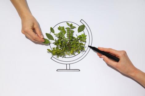 (P) Transferul de responsabilitate pentru DEEE: obligațiile producătorilor și importatorilor de echipamente electrice