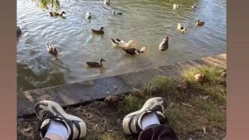 Fanii Chefi la cuțite au descoperit cu surpriză cine este soțul Sorinei. Din ce proiect televizat a făcut parte Nobo