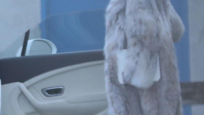 Cum arată Lynda, sora discretă a lui Jennifer Lopez. Artista a publicat imagini rare cu familia de Crăciun în familie