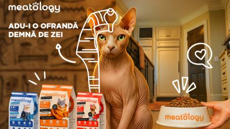 (P) Meatology: brandul rom&acirc;nesc super premium cu un model de business bazat pe expertiză medicală și formulare responsabilă