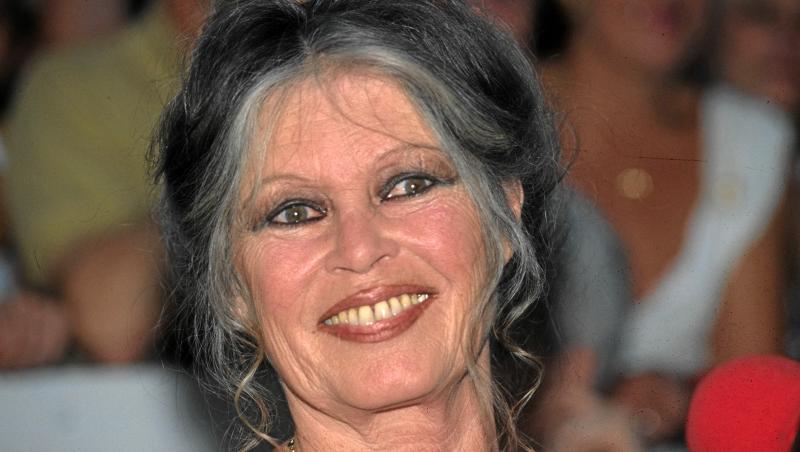 Legătura mai puțin știută dintre Viorel Lis și Brigitte Bardot: „Când ne-am pupat, am....”