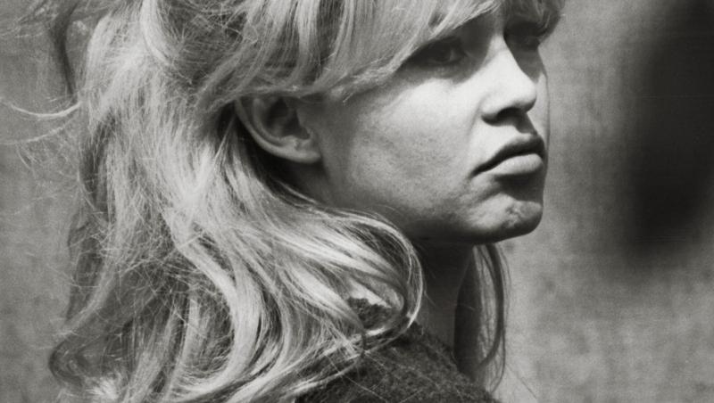Legătura mai puțin știută dintre Viorel Lis și Brigitte Bardot: „Când ne-am pupat, am....”