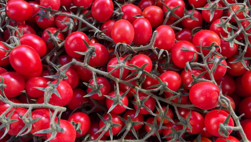 Rețeta pentru un sos de roșii delicios gata în 5 minute. Care este ingredientul minune care dă cel mai bun gust