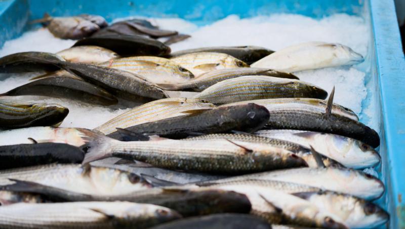 Pește congelat propus la v&acirc;nzare &icirc;n magazin