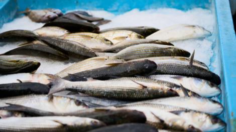 Sute de kilograme de pește infestat cu larve retrase de la vânzare. În ce oraș din România s-a găsit totul
