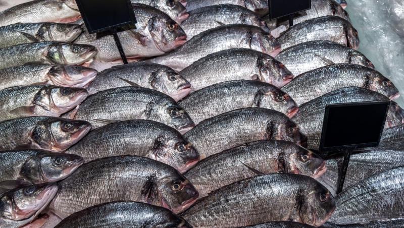 Sute de kilograme de pește infestat cu larve retrase de la vânzare. În ce oraș din România s-a găsit totul