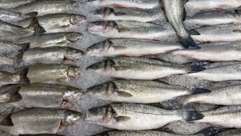 Sute de kilograme de pește infestat cu larve retrase de la vânzare. În ce oraș din România s-a găsit totul