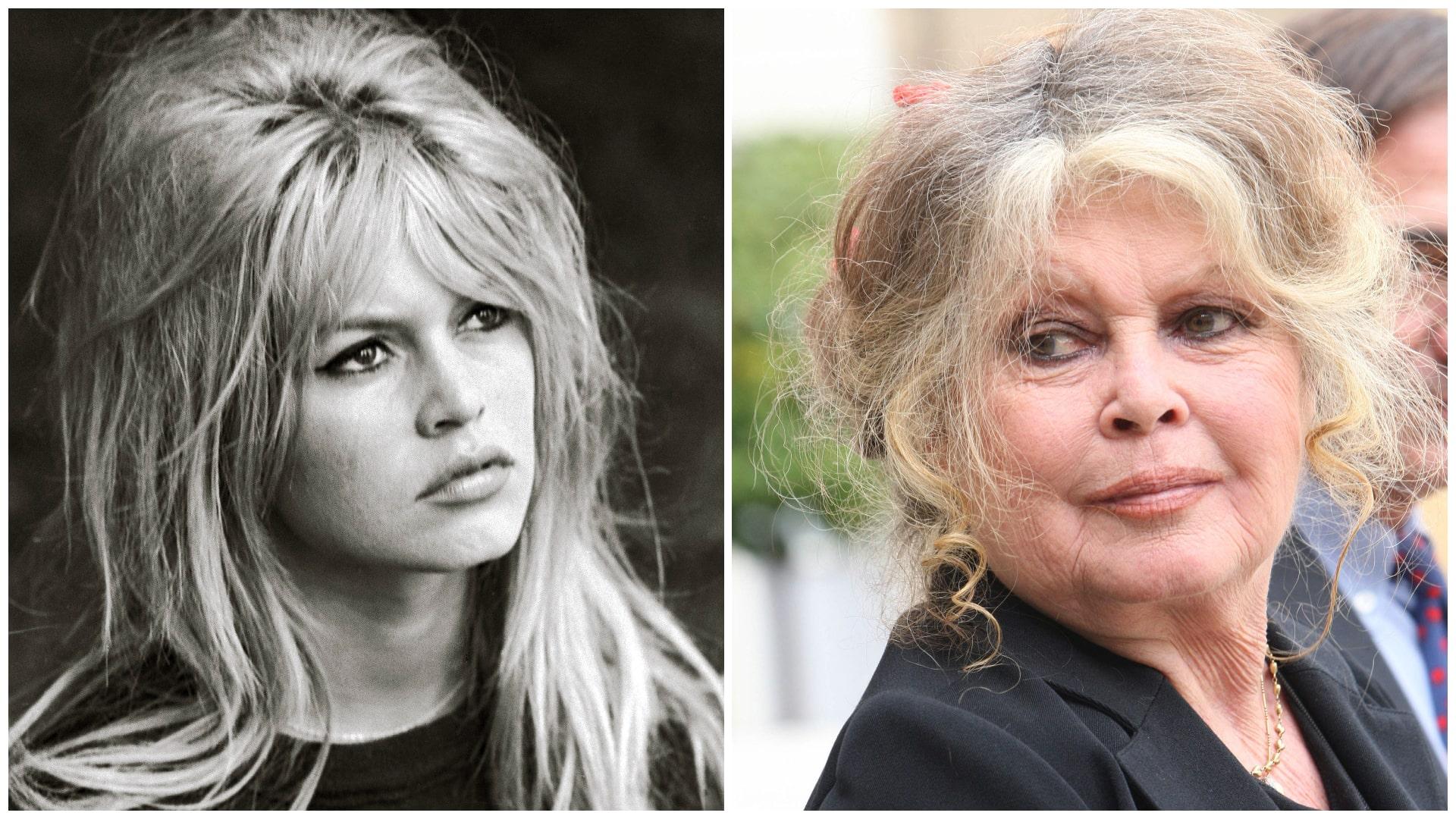 Ultima dorință a celebrei actrițe Brigitte Bardot &icirc;nainte să moară. Unde și-a dorit să fie &icirc;nmorm&acirc;ntată