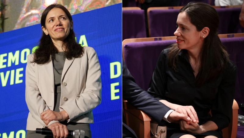 colaj mirabela gradinaru