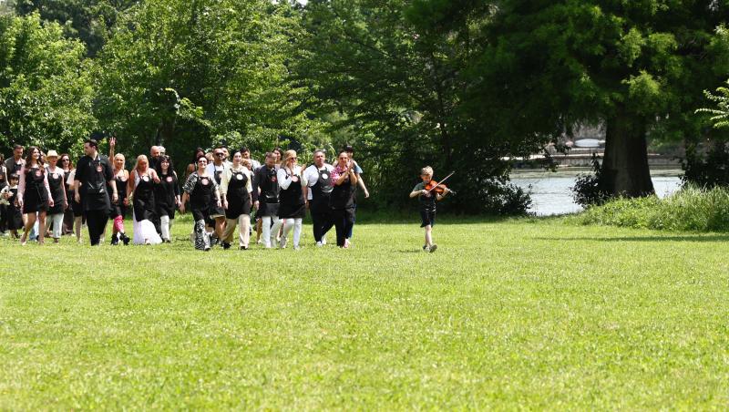 Chefi la cuțite, lider de audiență. Emoții uriașe în bootcamp-ul de ieri seară: Chefii și-au format echipele