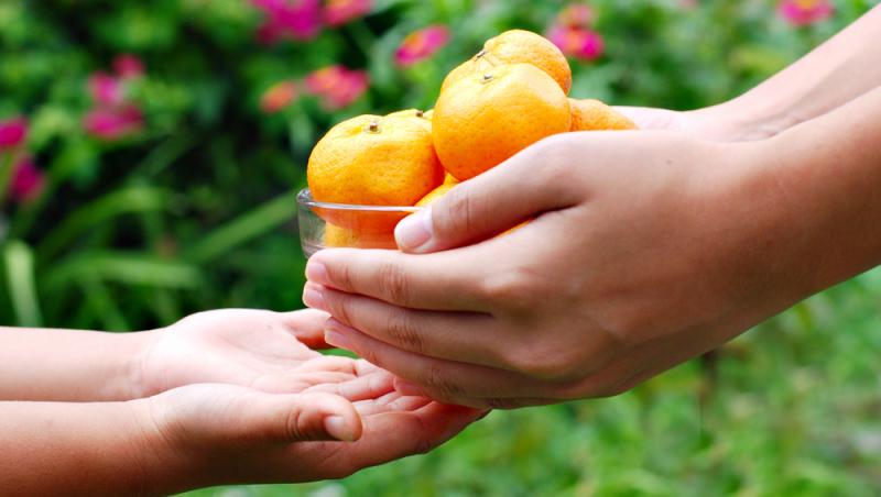 Tradiții și superstiții de Sfânta Filofteia. Ce să faci și să nu faci pe 7 decembrie