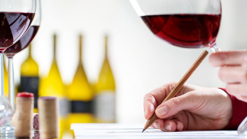 Ministerul Muncii a recunoscut o nouă meserie în România. Ce presupune aceasta, ce responsabilitate include: „E un moment istoric”