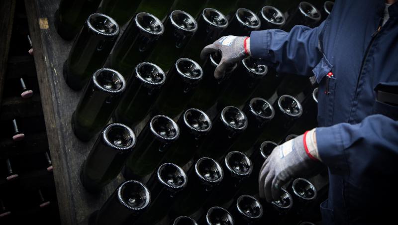 Ministerul Muncii a recunoscut o nouă meserie în România. Ce presupune aceasta, ce responsabilitate include: „E un moment istoric”