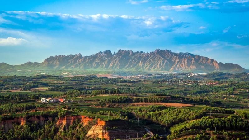 Ministerul Muncii a recunoscut o nouă meserie în România. Ce presupune aceasta, ce responsabilitate include: „E un moment istoric”