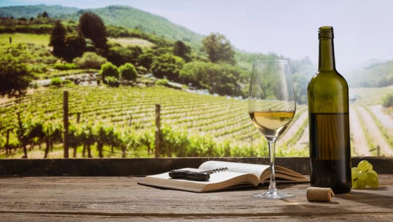 Ministerul Muncii a recunoscut o nouă meserie în România. Ce presupune aceasta, ce responsabilitate include: „E un moment istoric”