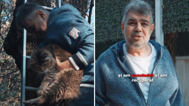 Imagini virale cu Marcel Ciolacu în timp ce își salvează pisica din copac. Hanoracul purtat a stârnit dezbateri aprinse pe TikTok