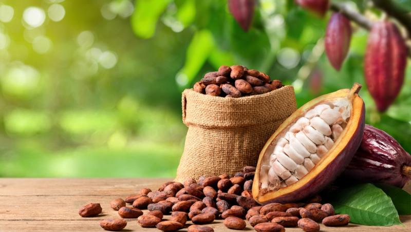 Ciocolata Dubai nu mai este în topul favoritelor. Ce delicatesă i-a luat locul. Are doar două ingrediente