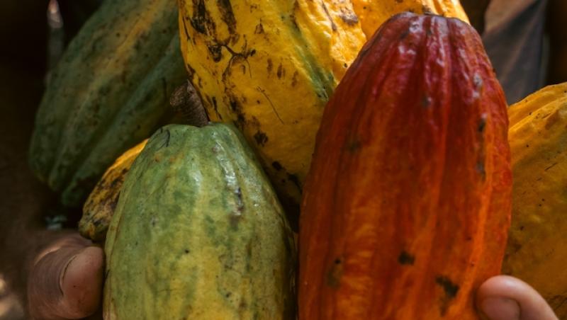 Ciocolata Dubai nu mai este în topul favoritelor. Ce delicatesă i-a luat locul. Are doar două ingrediente