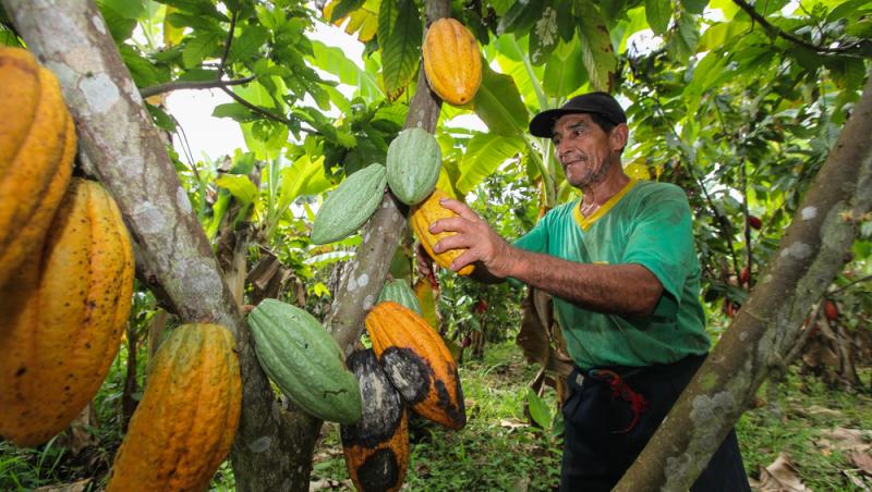 Ciocolata Dubai nu mai este în topul favoritelor. Ce delicatesă i-a luat locul. Are doar două ingrediente