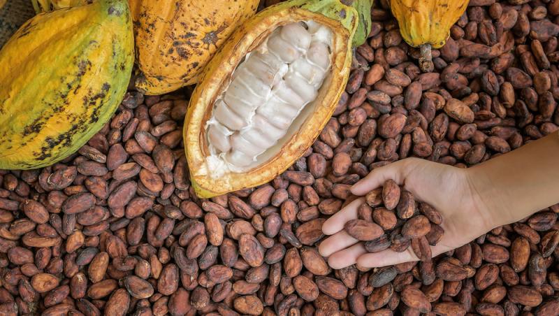 Ciocolata Dubai nu mai este în topul favoritelor. Ce delicatesă i-a luat locul. Are doar două ingrediente