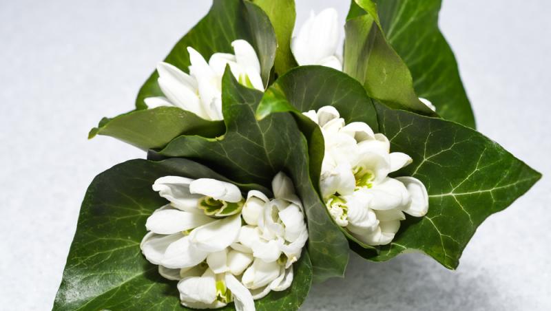 Dragobetele, Valentine’s Day autohton. Ce obiceiuri se respectă pe 24 februarie