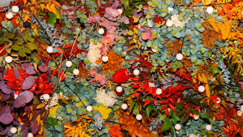 Dragobetele, Valentine’s Day autohton. Ce obiceiuri se respectă pe 24 februarie