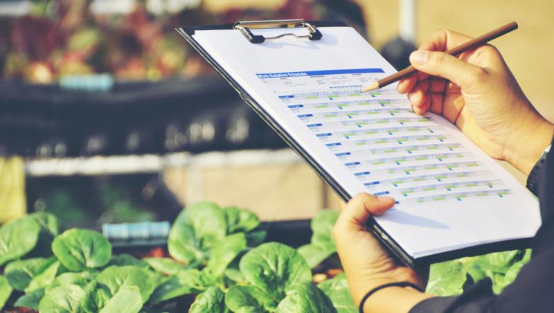 Magazine și fast-fooduri închise de ANPC în Mall Băneasa. Ce s-a găsit în centrul comercial