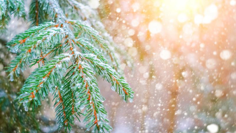 Prognoză meteo 24 - 28 februarie 2025. Cum va fi vremea în România în această perioadă