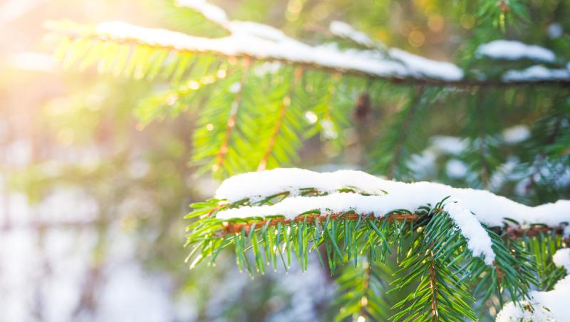 Prognoză meteo 24 - 28 februarie 2025. Cum va fi vremea în România în această perioadă