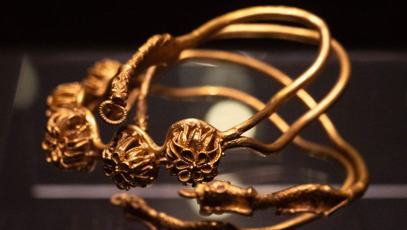 A fost reținut al patrulea suspect în cazul furtului tezaurului dacic de la Muzeul Drents. Ce au declarat autoritățile olandeze