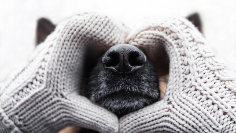 Mănușile, un risc pentru sănătatea ta. De ce nu este bine să le porți des iarna