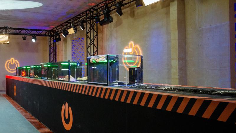 La Power Couple, în această seară, fetele au parte de ultima provocare individuală! Prima ediție a săptămânii, lider de audiență!