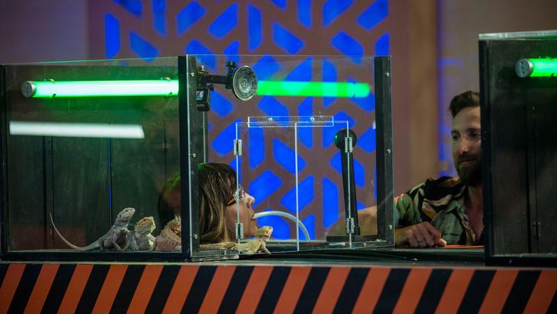 Power Couple România sezon 2, 25 februarie 2025. DOC și Anca Munteanu și-au folosit superputerea. Ce cuplu a primit un dezavantaj