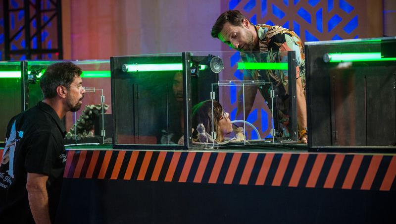 Power Couple România sezon 2, 25 februarie 2025. DOC și Anca Munteanu și-au folosit superputerea. Ce cuplu a primit un dezavantaj