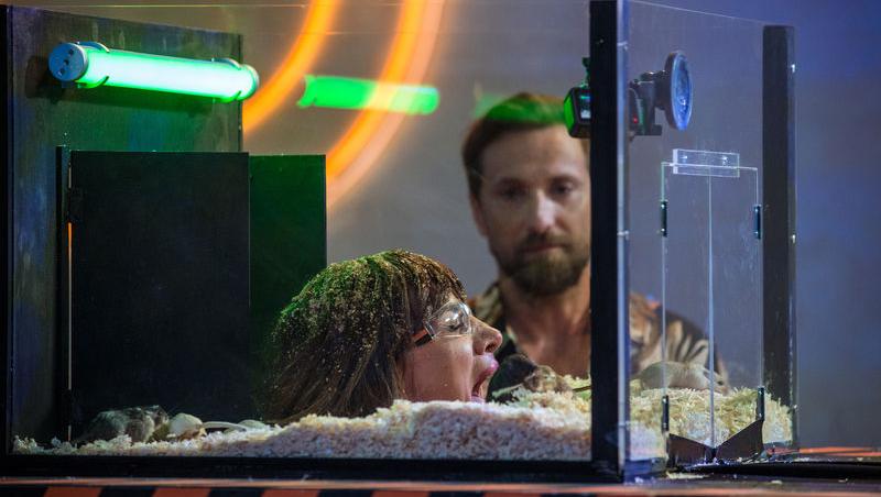 Power Couple România sezon 2, 25 februarie 2025. DOC și Anca Munteanu și-au folosit superputerea. Ce cuplu a primit un dezavantaj