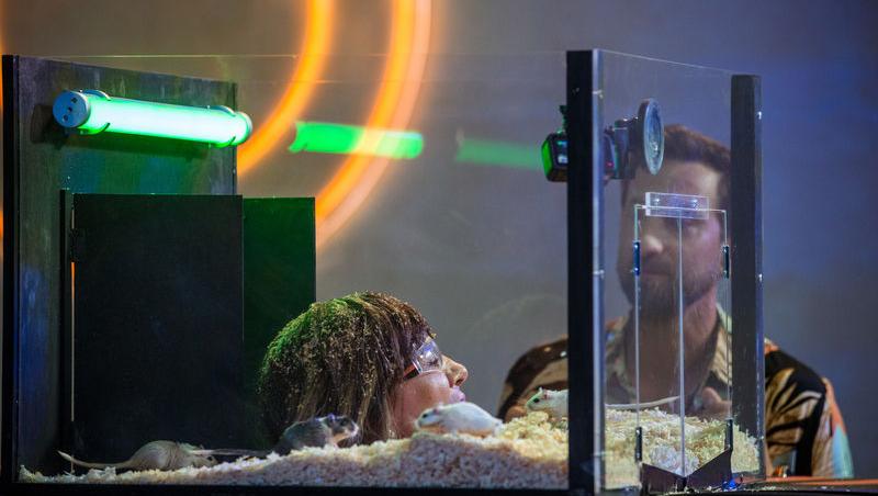 Power Couple România sezon 2, 25 februarie 2025. DOC și Anca Munteanu și-au folosit superputerea. Ce cuplu a primit un dezavantaj