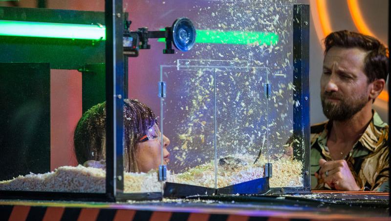 Power Couple România sezon 2, 25 februarie 2025. DOC și Anca Munteanu și-au folosit superputerea. Ce cuplu a primit un dezavantaj