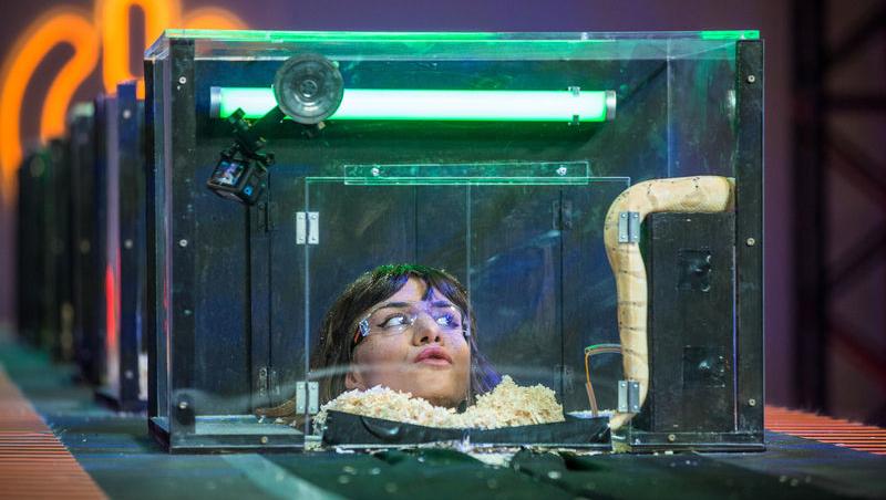 Power Couple România sezon 2, 25 februarie 2025. DOC și Anca Munteanu și-au folosit superputerea. Ce cuplu a primit un dezavantaj