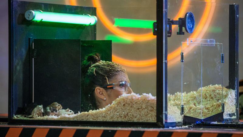 Power Couple România sezon 2, 25 februarie 2025. DOC și Anca Munteanu și-au folosit superputerea. Ce cuplu a primit un dezavantaj