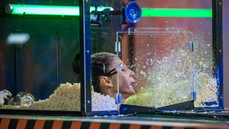 Power Couple România sezon 2, 25 februarie 2025. DOC și Anca Munteanu și-au folosit superputerea. Ce cuplu a primit un dezavantaj