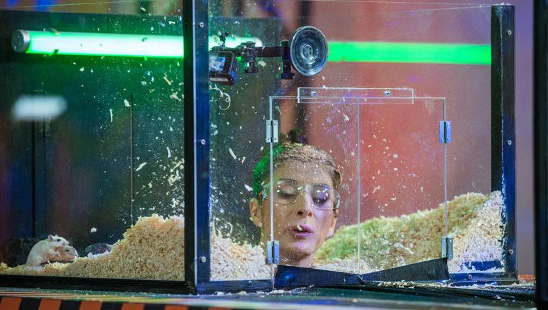 Power Couple România sezon 2, 25 februarie 2025. DOC și Anca Munteanu și-au folosit superputerea. Ce cuplu a primit un dezavantaj