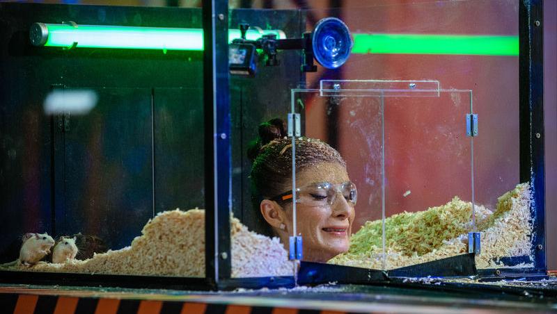 Power Couple România sezon 2, 25 februarie 2025. DOC și Anca Munteanu și-au folosit superputerea. Ce cuplu a primit un dezavantaj