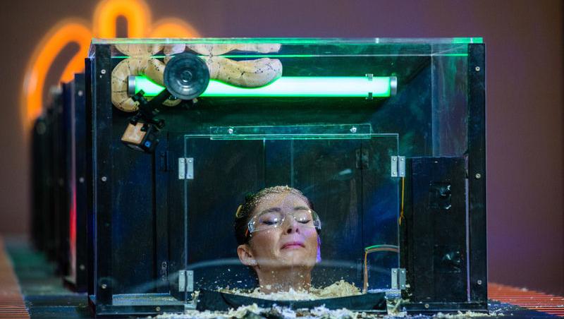 Power Couple România sezon 2, 25 februarie 2025. DOC și Anca Munteanu și-au folosit superputerea. Ce cuplu a primit un dezavantaj