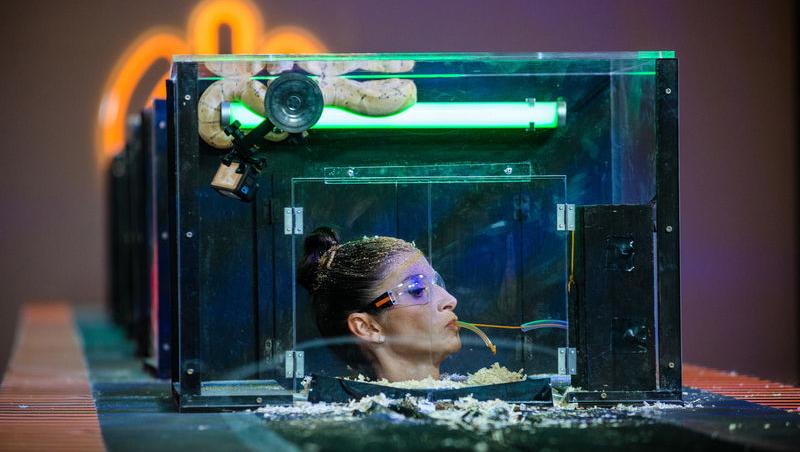 Power Couple România sezon 2, 25 februarie 2025. DOC și Anca Munteanu și-au folosit superputerea. Ce cuplu a primit un dezavantaj