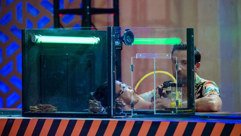 Power Couple România sezon 2, 25 februarie 2025. DOC și Anca Munteanu și-au folosit superputerea. Ce cuplu a primit un dezavantaj