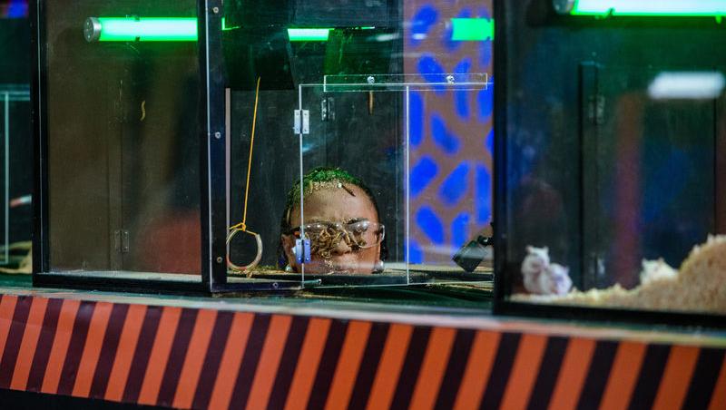 Power Couple România sezon 2, 25 februarie 2025. DOC și Anca Munteanu și-au folosit superputerea. Ce cuplu a primit un dezavantaj