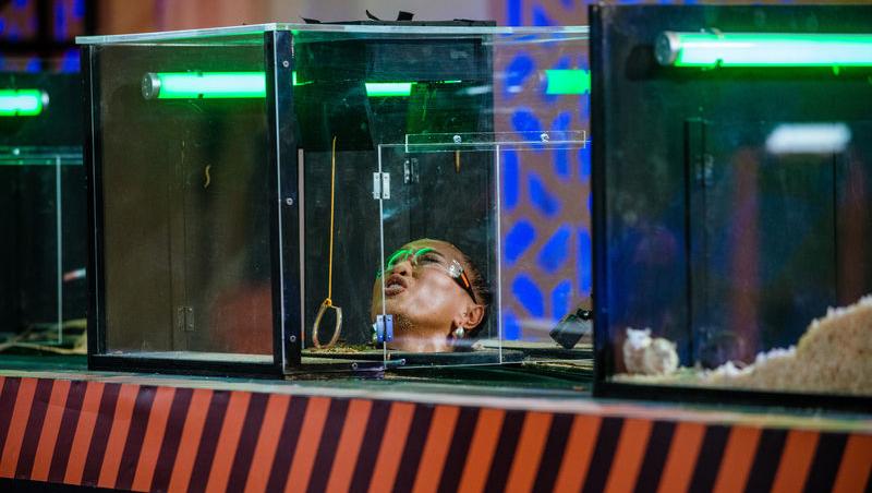 Power Couple România sezon 2, 25 februarie 2025. DOC și Anca Munteanu și-au folosit superputerea. Ce cuplu a primit un dezavantaj